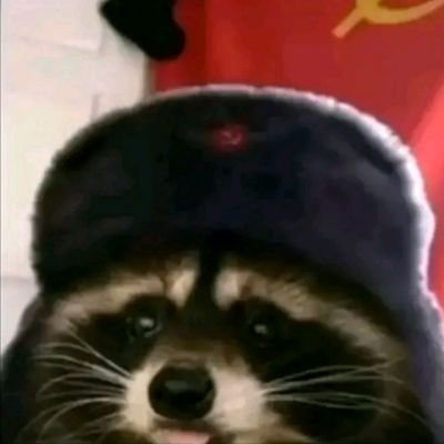 mellzboowd's profile picture. 