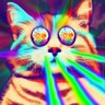 samkorn's profile picture. Laser Cat, Python maximalist, a child of the Korn