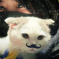 I(@Angtoi) 's Twitter Profile Photo