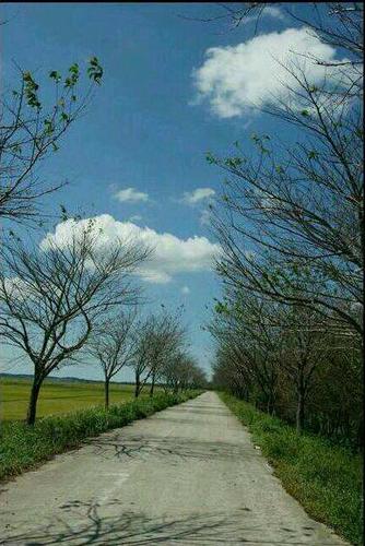 jhlee5607's profile picture. 