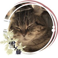 うめのうめこ(旧:雪×藤) (@yukixhuzi) 's Twitter Profile