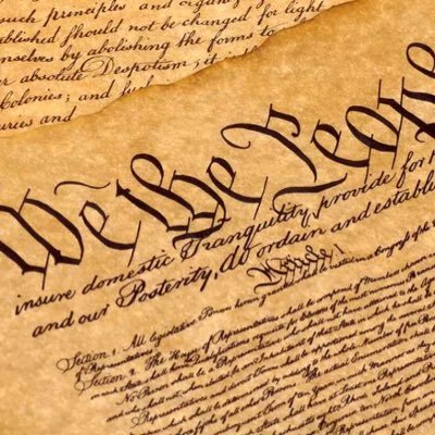 Constitutional absolutist tired of politicians subverting the rights of the people.