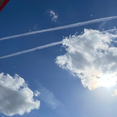 ifonly629's profile picture. 