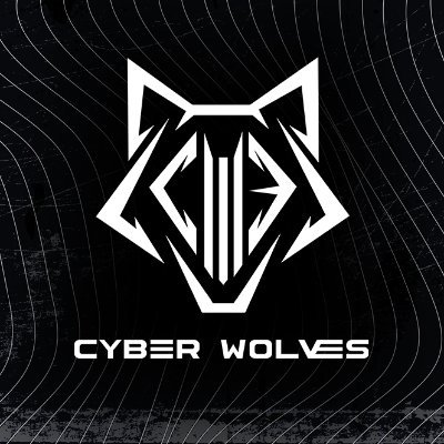 Cyber Wolves Esports - First professional Slovenian esports organization. Join our discord server: https://t.co/u0ou8roJGt #cwepack #cwe #awooo
