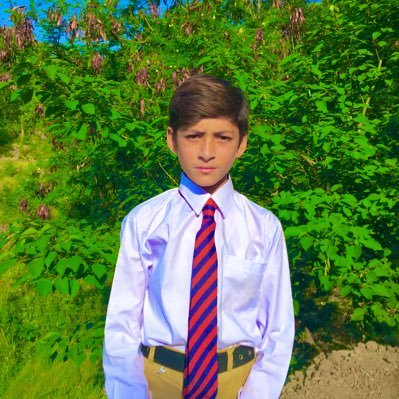 ali_khan315607's profile picture. 