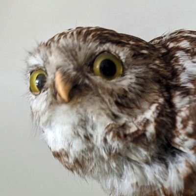 HermanAngst's profile picture. Konforme Mode für konforme Menschen