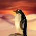 Penguin Lovers🐧❤️ (@penguinlovers11) Twitter profile photo Penguin Lovers🐧❤️ (@penguinlovers11) Twitter profile photo