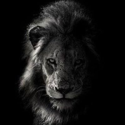 imsufslim's profile picture. retweet’s should not considered as a endorsement , Selling insurance for living assurance, ALHAMDULILLAH for everything