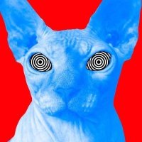 Isa (@yetanothertwink) 's Twitter Profile Photo