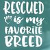 Rescue dogs for rehoming (@rescuedoggypaws) Twitter profile photo Rescue dogs for rehoming (@rescuedoggypaws) Twitter profile photo
