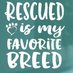 Rescue dogs for rehoming (@rescuedoggypaws) Twitter profile photo