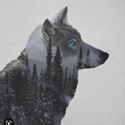 DylanBilbie's profile picture. 