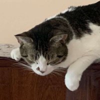 RoSlarkBo (@roslarkbo) 's Twitter Profile