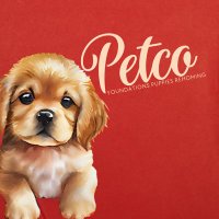 PETCO PUPPIES REHOMING🐾 (@petcofoundation) 's Twitter Profile