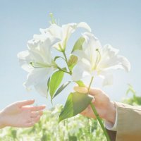 映画『あの花が咲く丘で、君とまた出会えたら。』公式(@ano_hana_movie) 's Twitter Profile Photo