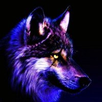 TeoBLT (@teoblt1) 's Twitter Profile