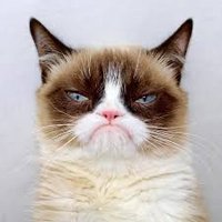 Grumpy Cat(@Grumpycat2024) 's Twitter Profile Photo