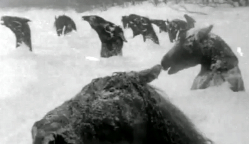 devon8866's profile picture. im here