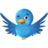 ClubFollowBack's profile image