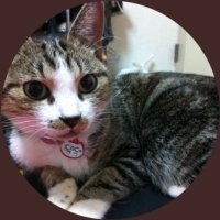 TORAぴ (@torapi_9) 's Twitter Profile