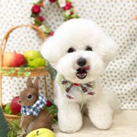 なつお (@hana_b727leo_mw) Twitter profile photo