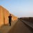 chr15_tr1gg5's profile image