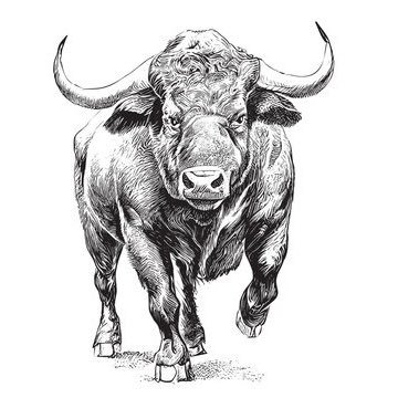 BullMarketInvestor on YouTube                                   #stocks #daytrader