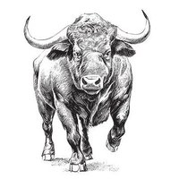 BullMarketInvestor (@bullmarketbuyer) 's Twitter Profile