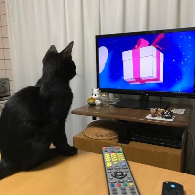 h1fu3M's profile picture. お布団と仲良し #りん