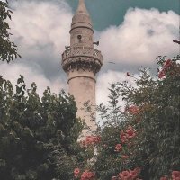 Hanım (@vethek_) 's Twitter Profile