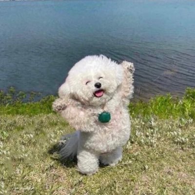 Ryweee's profile picture. 