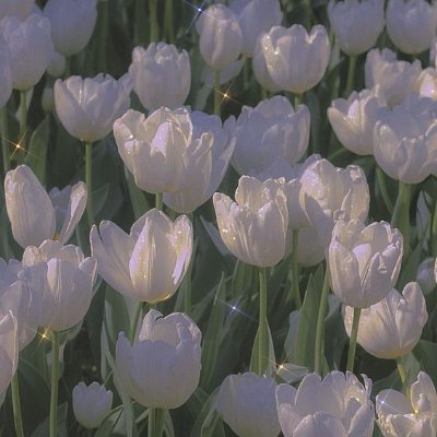 pink_ant123123's profile picture. just in case.

· · ─────── · · 🤍 · · ─────── · ·

main: @pinkantyyy
alt: @pink_ant123123
gw: @antyyy_27