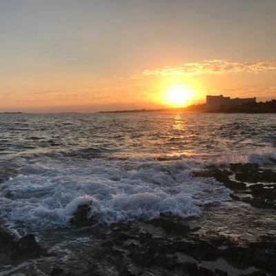 HazelFireANDIce's profile picture. 