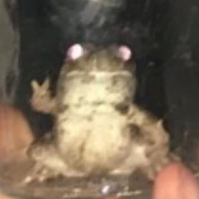 mya422137959544's profile picture. 