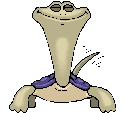 I love herps! Reptiles Rock!!
