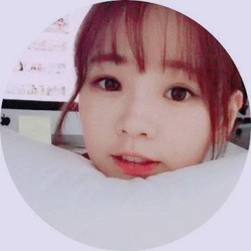 hgsendenchan15 Profile Picture