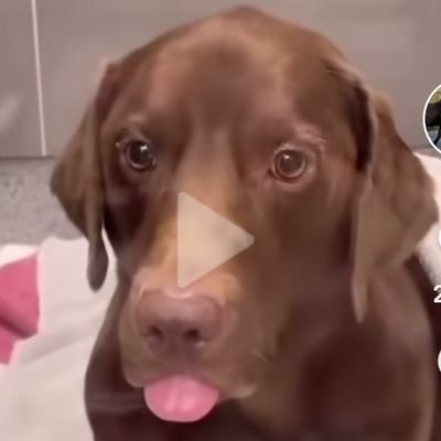 FrederickGlidd2's profile picture. 