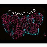 Kalwat Lab(@Mike_Kalwat) 's Twitter Profile Photo