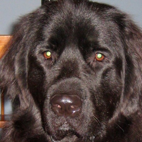 williambryaniv's profile picture. 