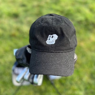 ydbdml's profile picture. 