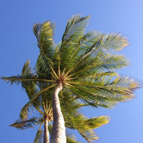 LoniMcKey's profile picture. 