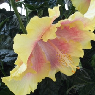 jktbennett's profile picture. 