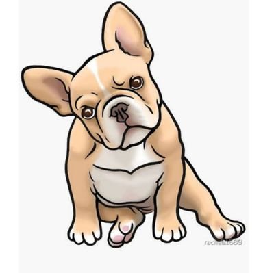 Welcome to @Frenchie_puppy2❤️❤️
👉We share Daily #frenchbulldog content
👉Follow us if you really love French Bulldog🔥🐾🐕