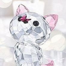 misaki1330058's profile picture. 起業家・投資家 ┆ 現在バンコク在住 ┆ 子育てもひと段落したので現金プレゼント企画を行っています。 ┆ 毎日10万円プレゼント中🎉 フォローして参加ください🎁
 配布場👉 https://t.co/ncdFQs3wom