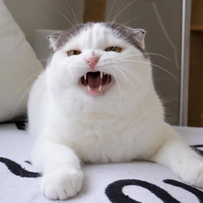 ttnapaさんのプロフィール画像