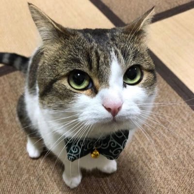 kiggundu_trades's profile picture. I believe in the Universe🛸🪬