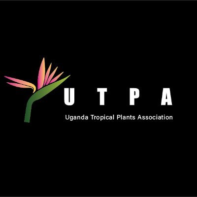 PlantsUganda's profile picture. Uganda's premier gardeners association.
Inspiring, Informing, Involving and Improving the pearl about how to coexist with Nature.