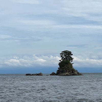 funswimming_128's profile picture. マスターズスイマー。好きな泳ぎはバック。