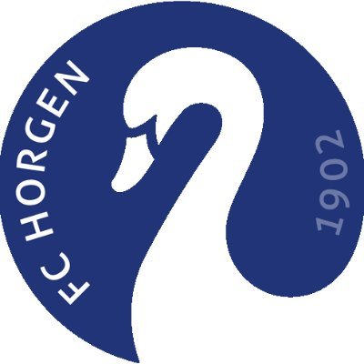 fchorgen Profile Picture