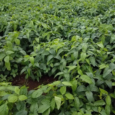 sandipg0862's profile picture. 